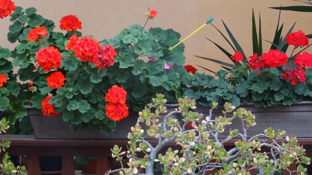 Bei Erfurt Apartment